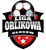 Logo Liga Orlikowa